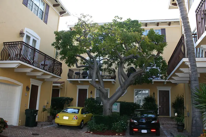 The Courtyards of Delray